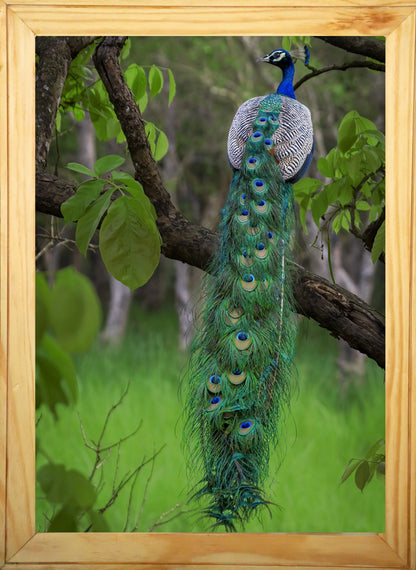 Le regard du fantôme 