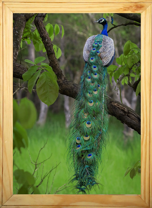 Le regard du fantôme 