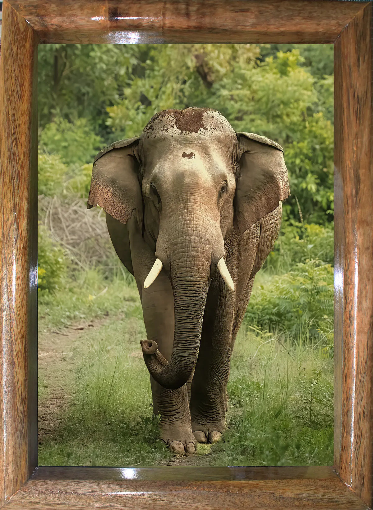 Majesté de la jungle – Face à face avec un éléphant dans la jungle (cadre photo d'art)