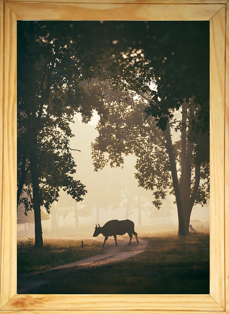 Bison Crossing in Silhouette - Wooden Wildlife Photo Art