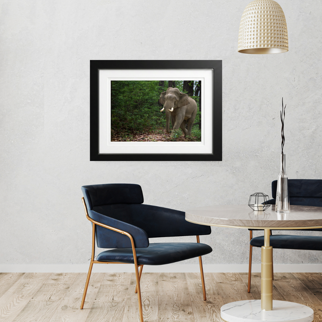 Verdant Wanderer — Asian Elephant Fine Art Photography | Limited Edition Archival Print, India