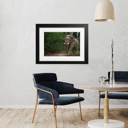 Verdant Wanderer — Asian Elephant Fine Art Photography | Limited Edition Archival Print, India