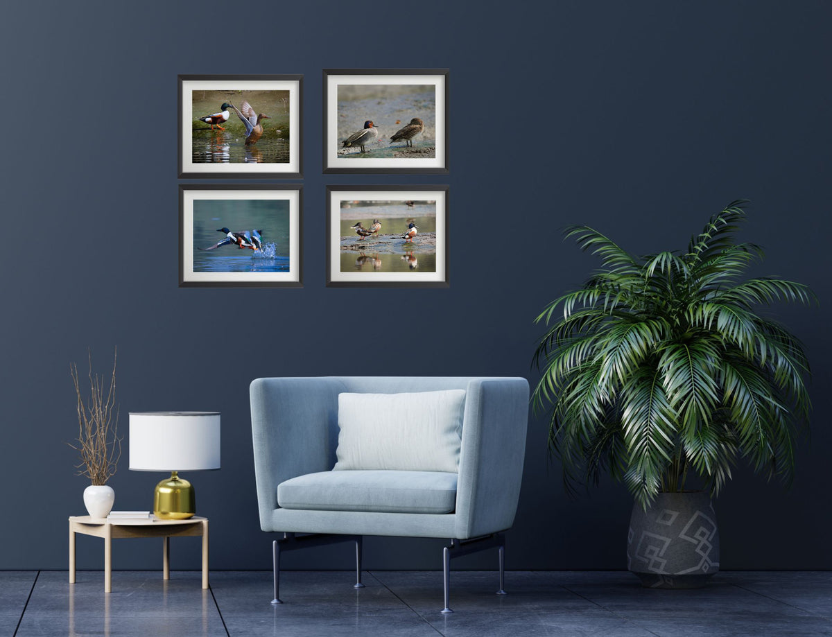 Ensemble de 4 affiches murales représentant des sarcelles d'hiver – Cadre en fibre – Décoration murale inspirée du Vastu et du Feng Shui – Harmonie, amour et énergie – Thème nature 