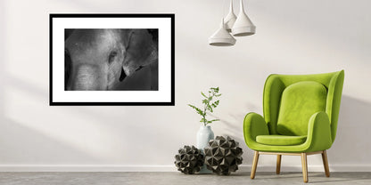 Grace in the Shadows – Elephant Portrait Fine Art Print | Luxury Wildlife Photography Wall Art