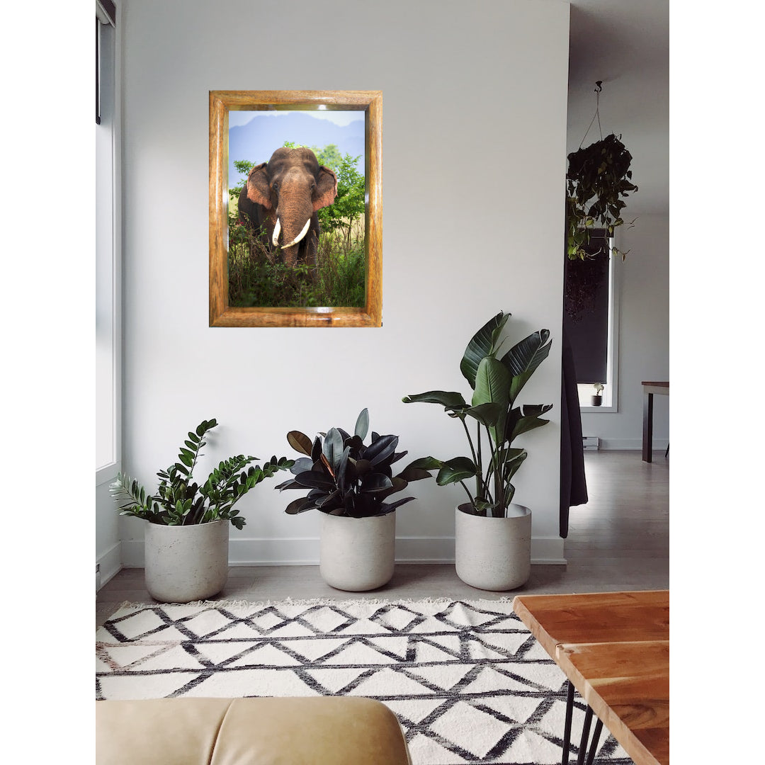 Cadre photo « Éléphant rebelle de la jungle » – Décoration artistique Wildgraphy