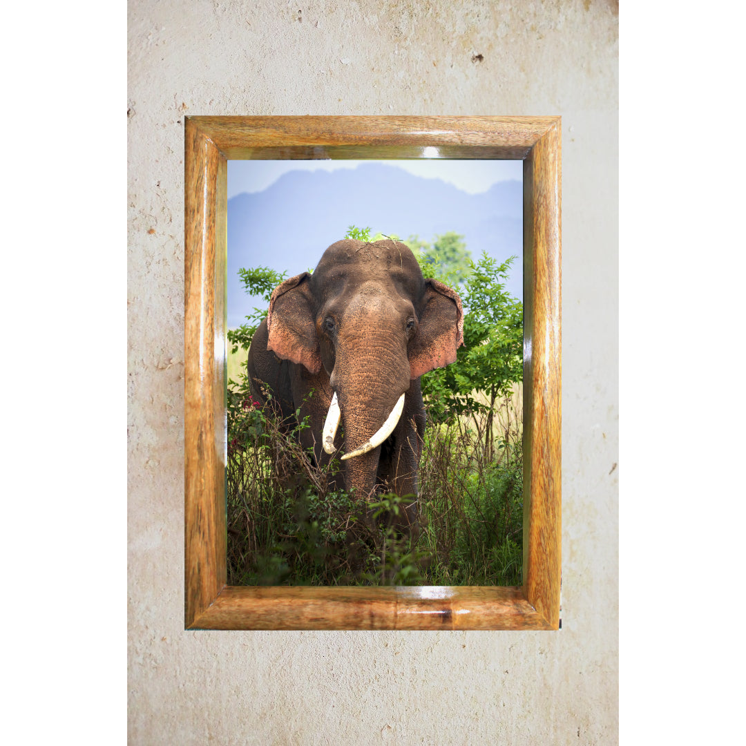 Cadre photo « Éléphant rebelle de la jungle » – Décoration artistique Wildgraphy