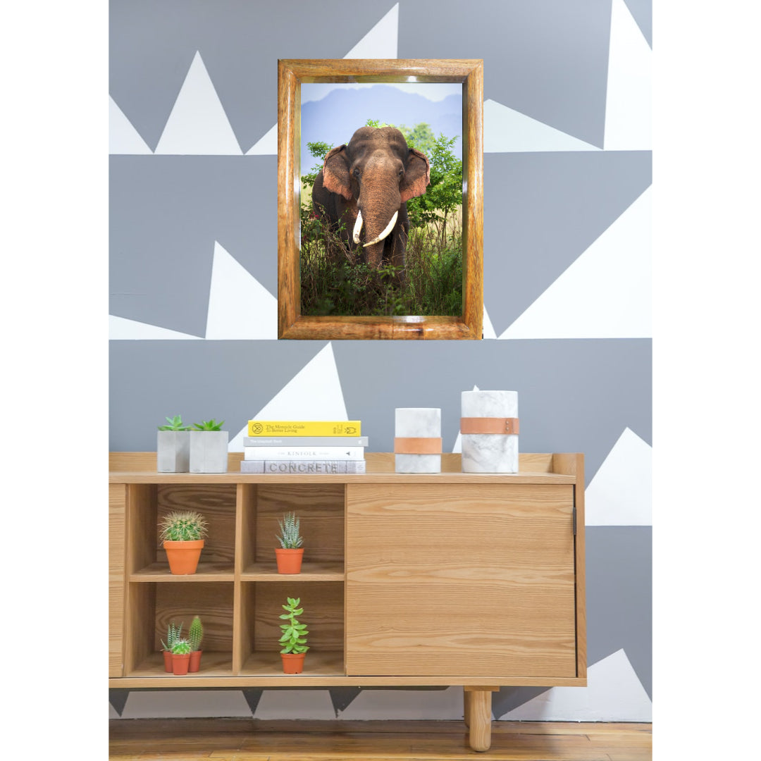 Cadre photo « Éléphant rebelle de la jungle » – Décoration artistique Wildgraphy