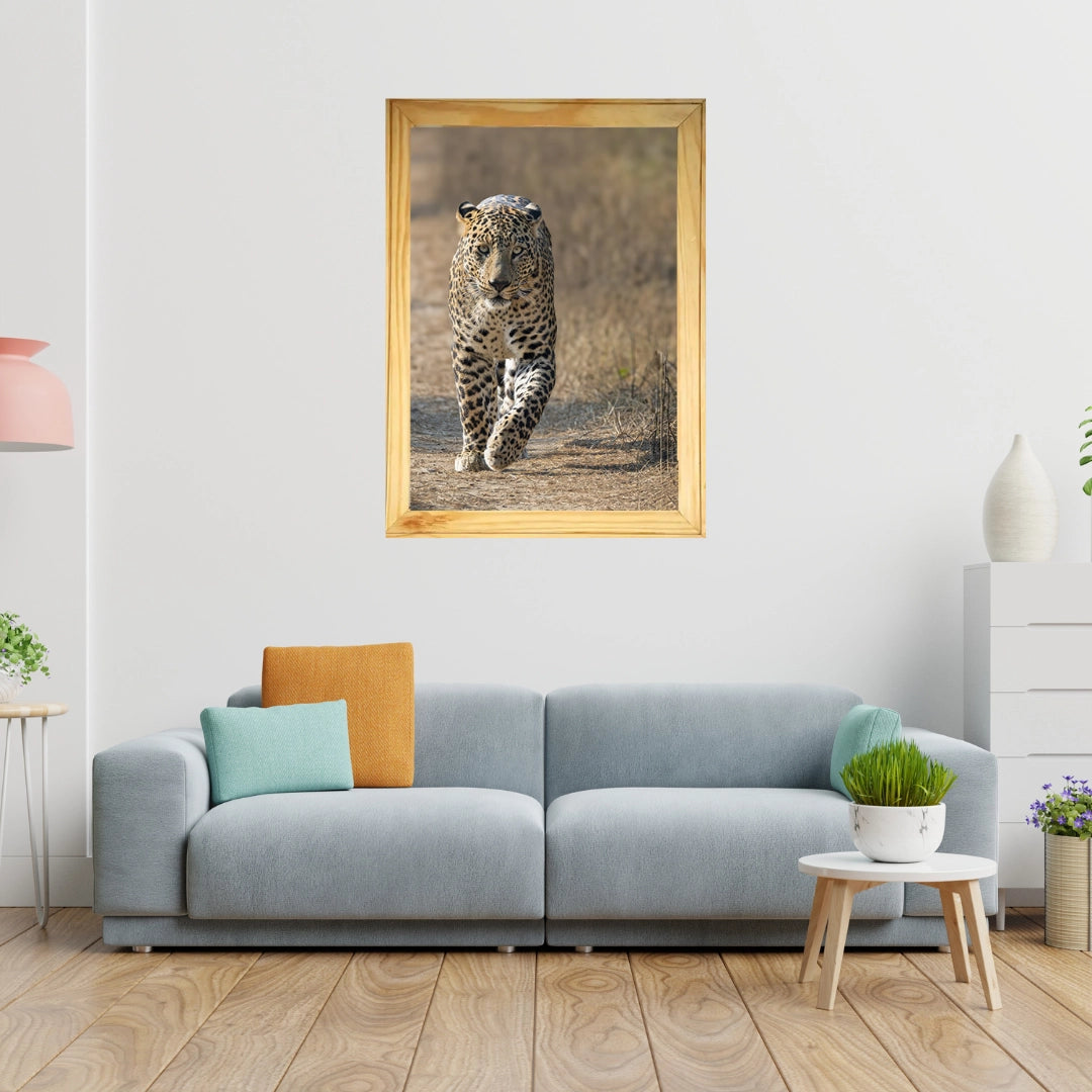 The Gaze of the Ghost