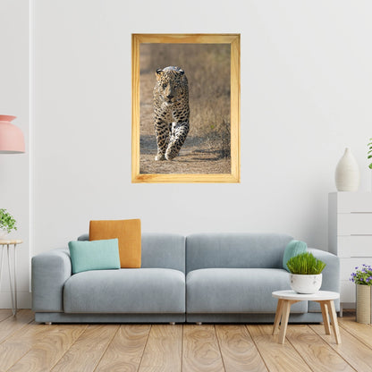 The Gaze of the Ghost