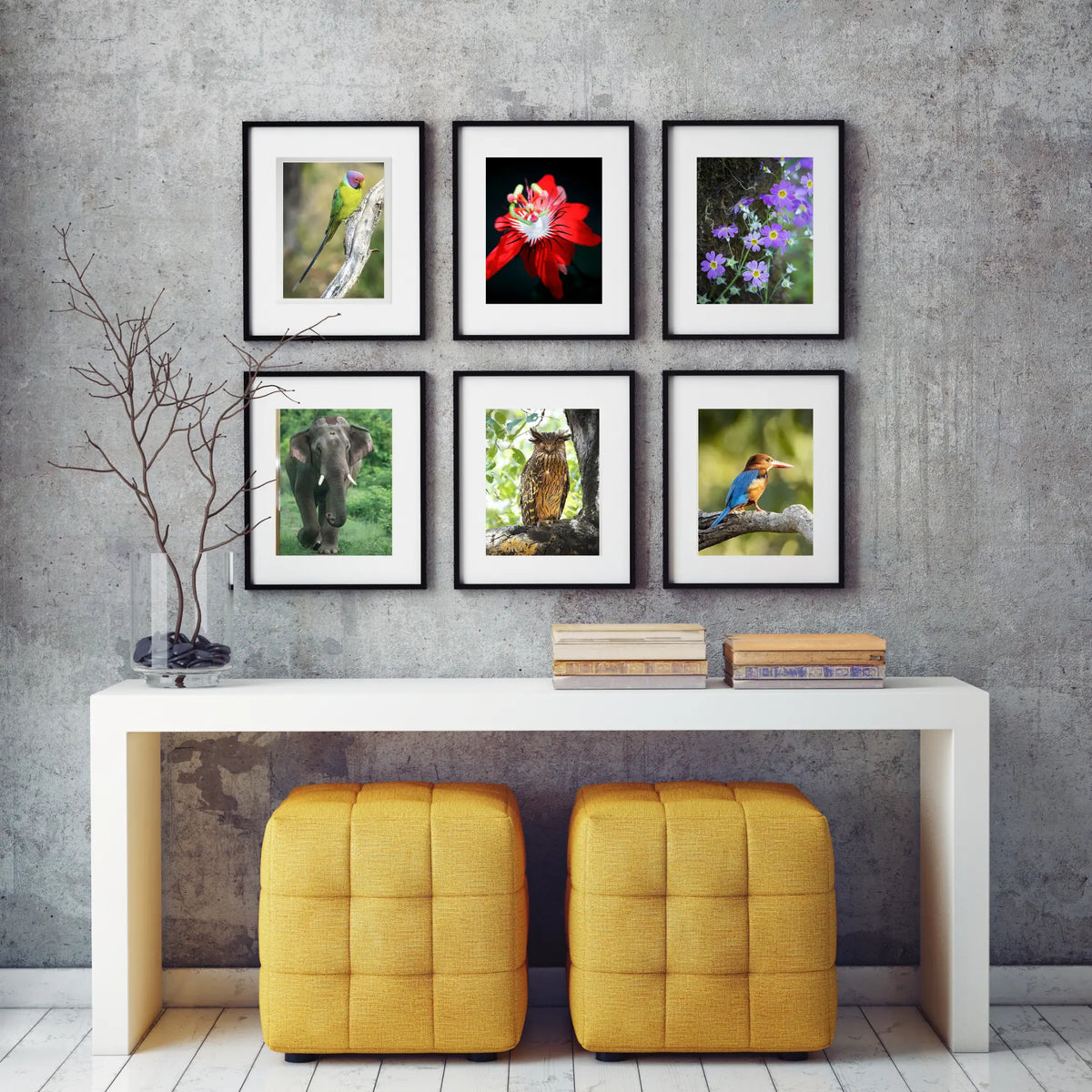 Ensemble de 6 photos encadrées sur le thème de la nature et de la faune sauvage, idéal pour la décoration intérieure - Cadre noir - Cadeau de Diwali 