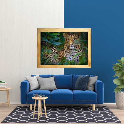 Mowgli: The Sunlit Phantom