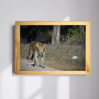 A Head-On with the Ghost of Rajaji