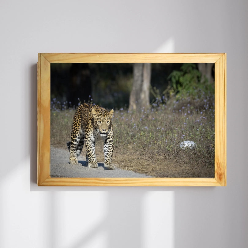 A Head-On with the Ghost of Rajaji