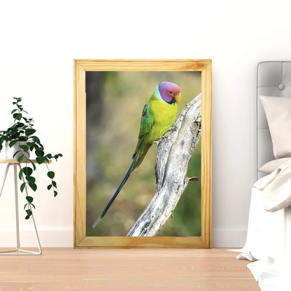 पन्ना का छिपा हुआ रत्न 