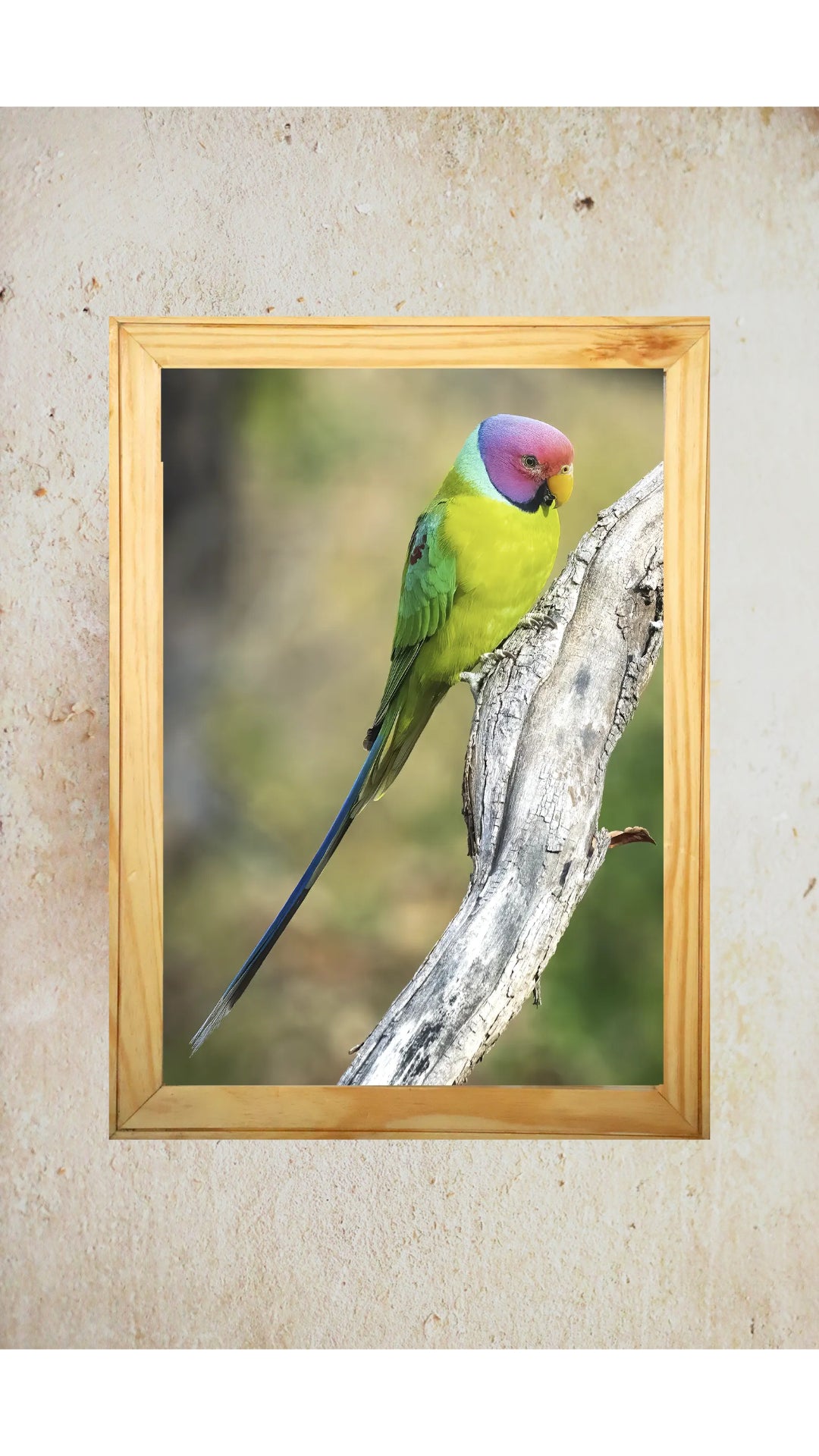 पन्ना का छिपा हुआ रत्न 