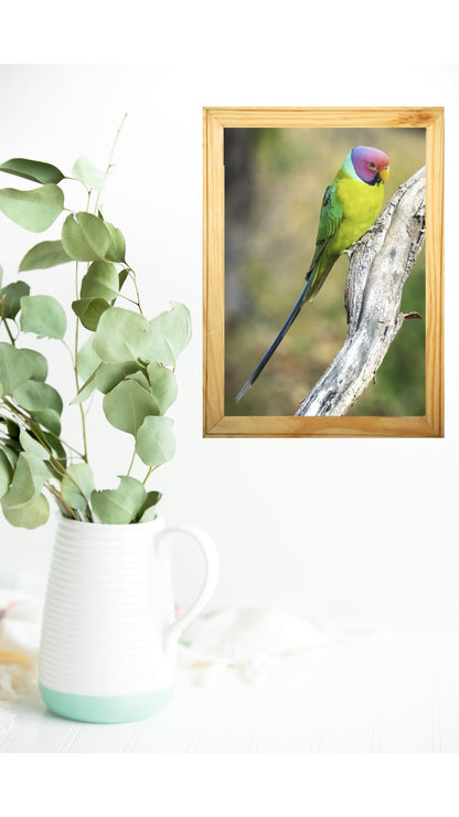 पन्ना का छिपा हुआ रत्न 