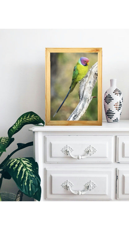 पन्ना का छिपा हुआ रत्न 