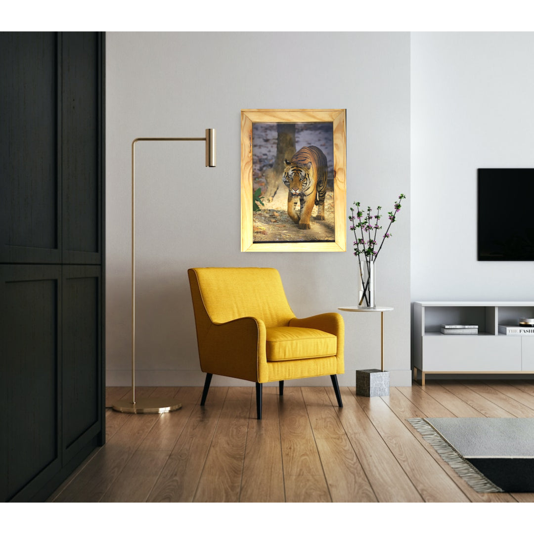 Five Meters from Majesty – A Close Encounter in Bandhavgarh