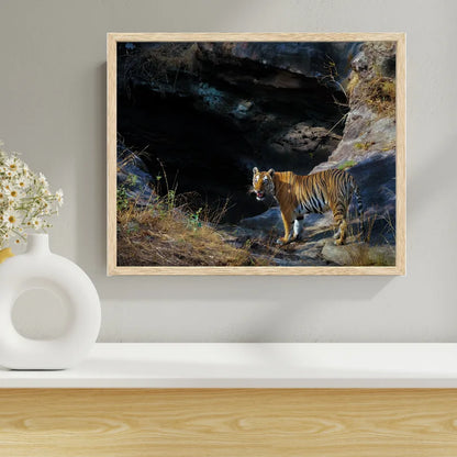 Fine Art Bandhavgarh National Park Framed Tiger Around Water Hole - Tiger Photo Home Decor- Wooden Photo Frame- Tiger Wooden Fine Art