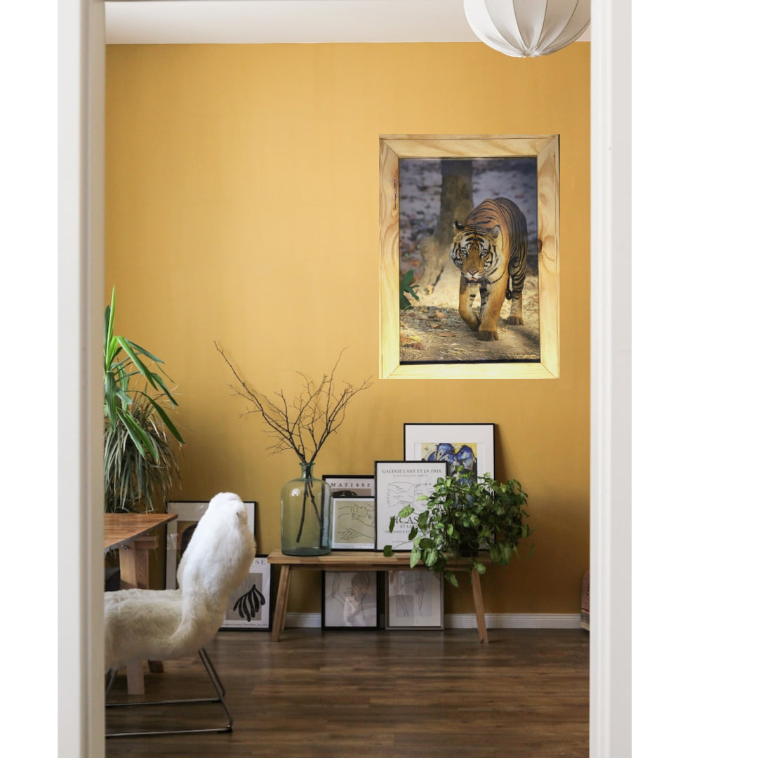 Five Meters from Majesty – A Close Encounter in Bandhavgarh