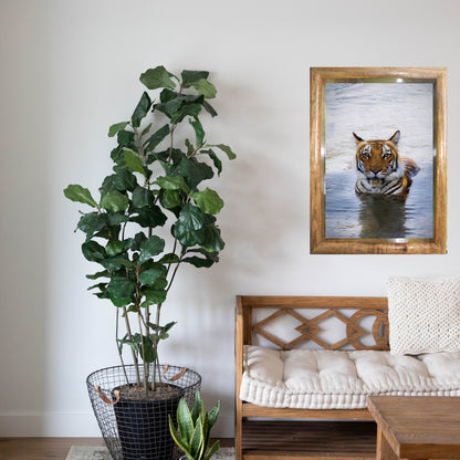 पानी में रॉयल बंगाल टाइगर – प्रीमियम वन्यजीव ललित कला प्रिंट 