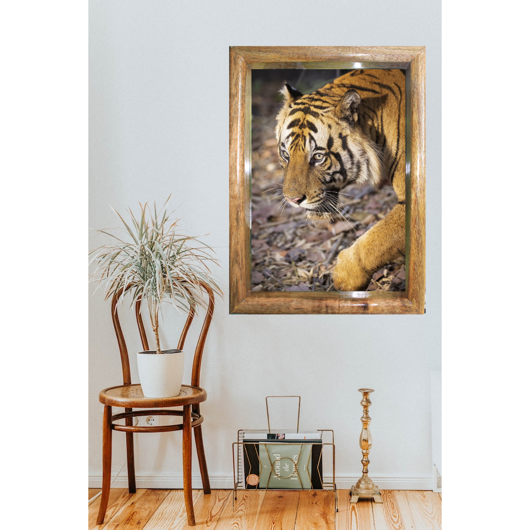 The Rival's Glare — Tiger Cubs, Fine Art Photography | Limited Edition
