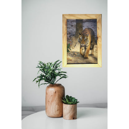 Five Meters from Majesty – A Close Encounter in Bandhavgarh