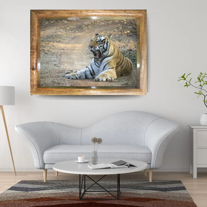Victorious Tiger Resting – Majestic Jungle Warrior Art Frame