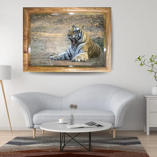 Victorious Tiger Resting – Majestic Jungle Warrior Art Frame