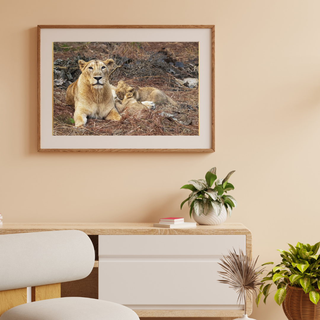 Le Monarque de Corbett - Éléphant en bois avec photographie artistique
