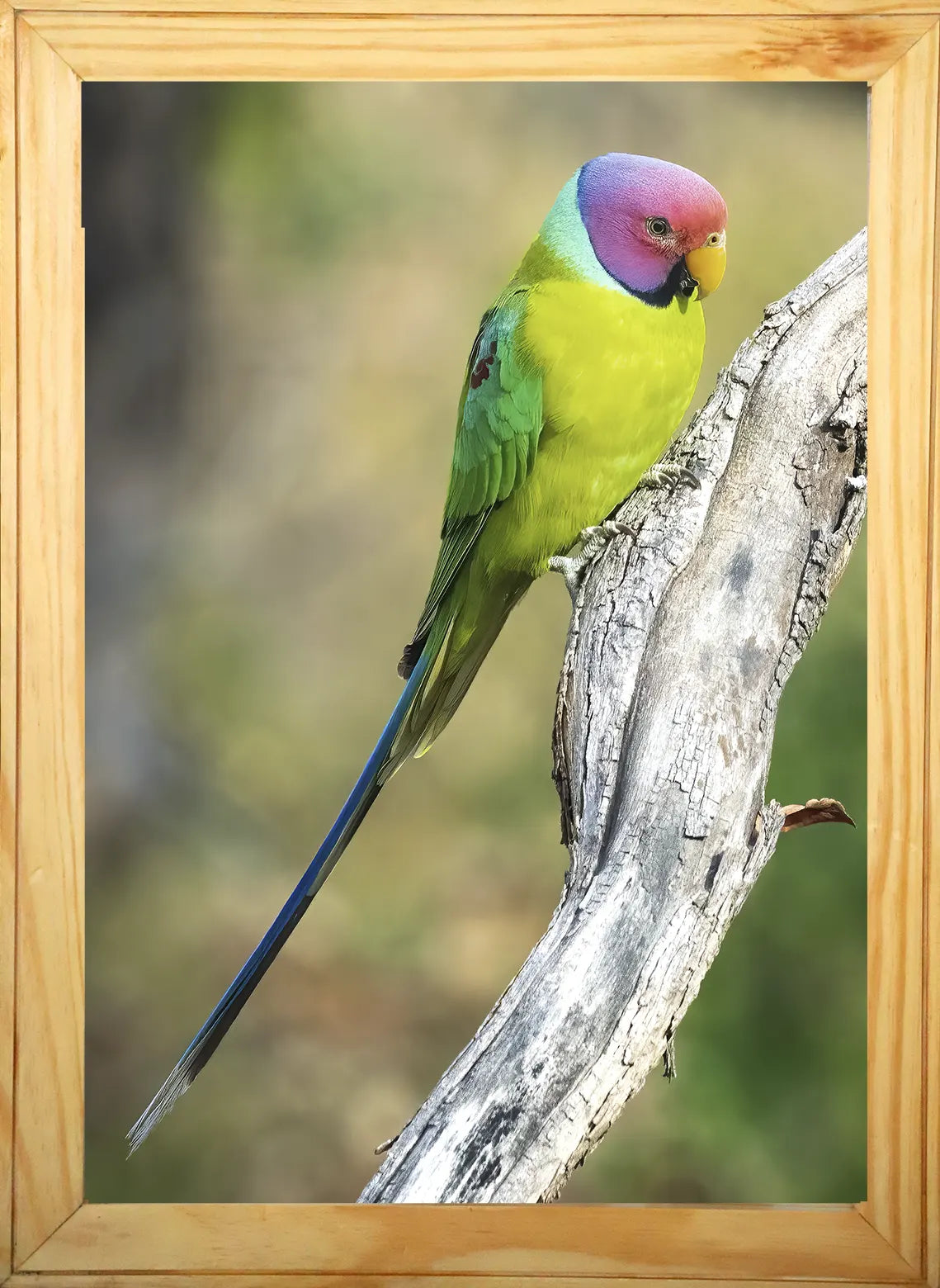 पन्ना का छिपा हुआ रत्न 