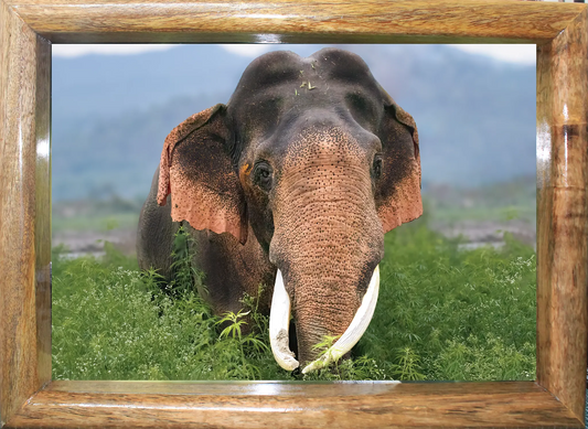 The Lone Giant – A Fine Art Masterpiece-4A0 Landscape Very Large -66.2 x 93.6 in