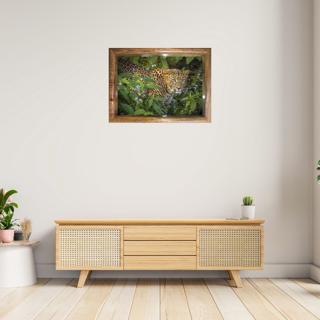 Face à face avec le fantôme – Le commandement de Bhagira | Photographie animalière | Décoration murale léopard | Dimensions : 61 x 81 cm